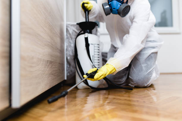 Best Pest Removal Services  in Dunthpe, OR