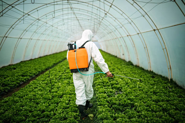 Best Commercial Pest Control Services  in Dunthpe, OR