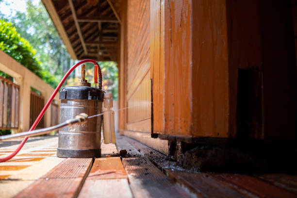 Best Mosquito Control Services  in Dunthpe, OR